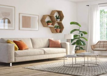 Cat Rumah Soft, Pilihan Ideal untuk Interior Rumah