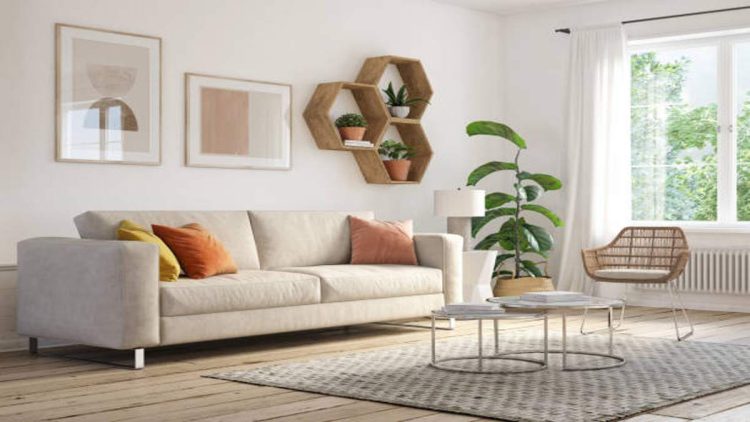 Cat Rumah Soft, Pilihan Ideal untuk Interior Rumah