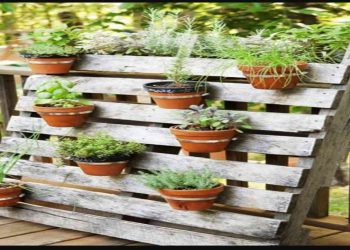 Inspirasi Desain Kebun Sayur di Halaman Belakang Agar Tampil Menarik