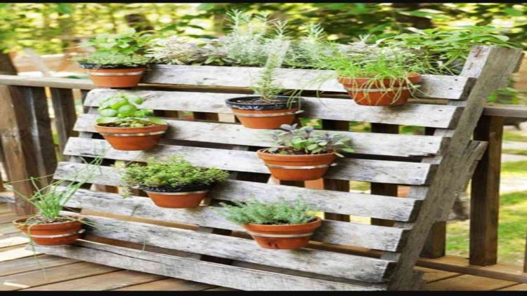 Inspirasi Desain Kebun Sayur di Halaman Belakang Agar Tampil Menarik