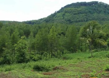 Sejarah Gunung Katu di Malang, Pendarmaan Rangga Rajasa