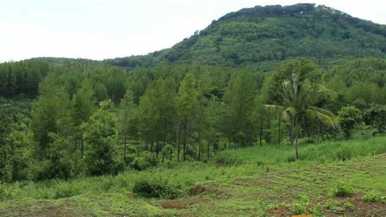 Sejarah Gunung Katu di Malang, Pendarmaan Rangga Rajasa