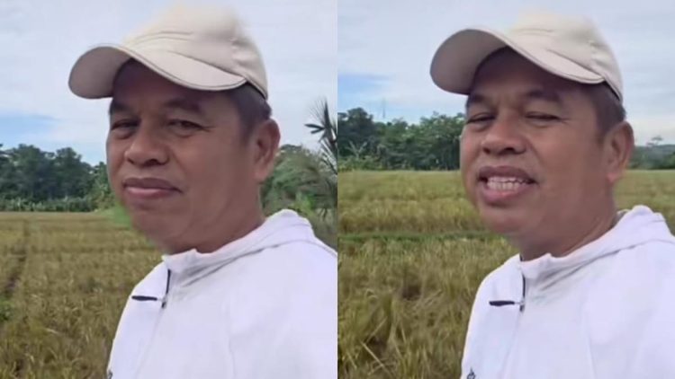 Tanggapan Dedi Mulyadi soal Kades Cirebon Nyawer DJ, Dana Desa Terancam Ditunda