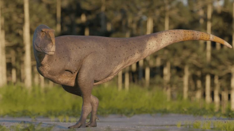 Fosil Dinosaurus Koleken Inakayali dengan Lengan Kecil Ditemukan