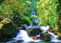Sejarah Curug Ciherang di Bogor, Air Terjun Eksotis yang Penuh Legenda