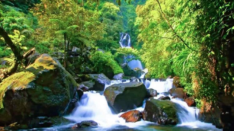Sejarah Curug Ciherang di Bogor, Air Terjun Eksotis yang Penuh Legenda