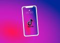 Harga Gift Singa di TikTok dalam Rupiah, Nilainya Mengagumkan