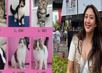 Kasus Kucing Terus Berlanjut, Sherina Munaf Ikut Dijadwalkan Diperiksa Polisi