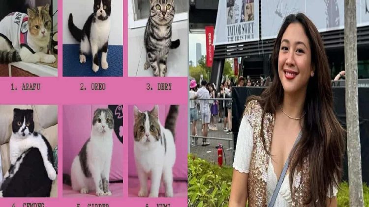 Kasus Kucing Terus Berlanjut, Sherina Munaf Ikut Dijadwalkan Diperiksa Polisi
