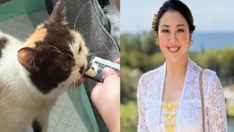 Sherina Munaf Merawat Kucing Uya Kuya Setelah Aksi Penjarahan Massa