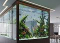Aquarium Sebagai Pemisah Ruangan Meningkatkan Estetika dan Fungsionalitas Sekaligus