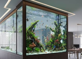 Aquarium Sebagai Pemisah Ruangan Meningkatkan Estetika dan Fungsionalitas Sekaligus