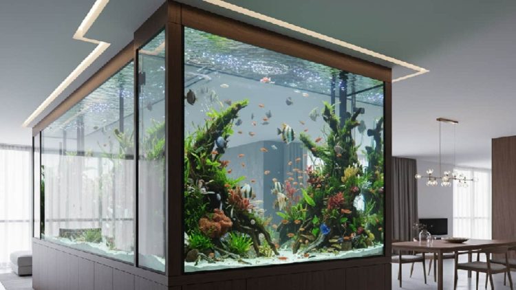 Aquarium Sebagai Pemisah Ruangan Meningkatkan Estetika dan Fungsionalitas Sekaligus