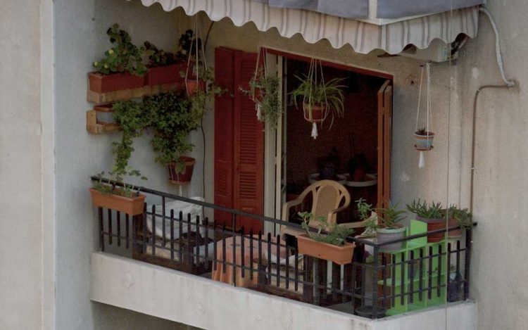 Menata Tanaman di Balkon untuk Keindahan dan Kenyamanan yang Optimal