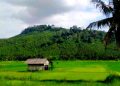 Kisah Batu Bangkis Sakral dan Penamaan Gunung Sangkur di Kota Banjar