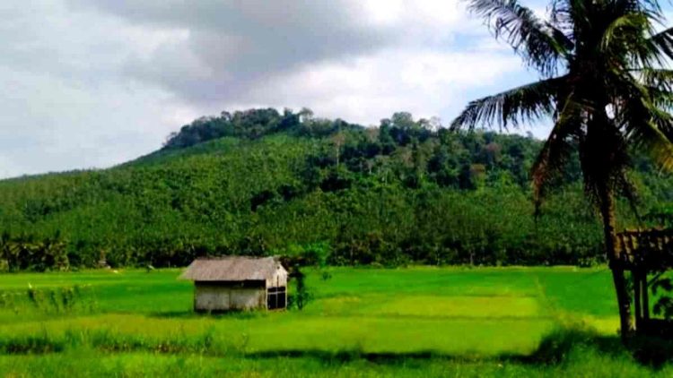 Kisah Batu Bangkis Sakral dan Penamaan Gunung Sangkur di Kota Banjar