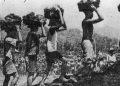 Ulasan Sistem Romusha Jepang pada Masa Penjajahan Sebelum Kemerdekaan 1945