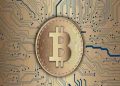 Pasar Beruang Bitcoin Berakhir Saat Pemegang Jangka Panjang Masuk Fase Kerugian