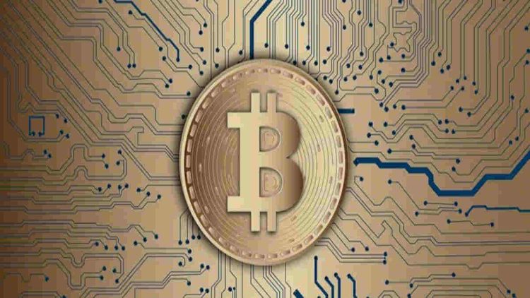 Pasar Beruang Bitcoin Berakhir Saat Pemegang Jangka Panjang Masuk Fase Kerugian
