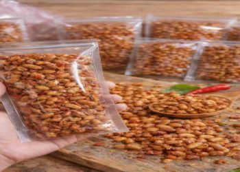 Kedelai Goreng Pedas Manis Peluang Usaha Makanan Ringan Modern